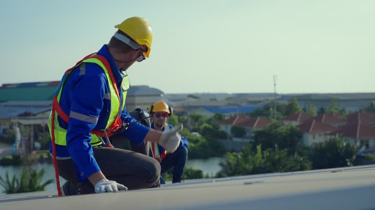 Best Asphalt Shingle Roofing  in Tracy, MN