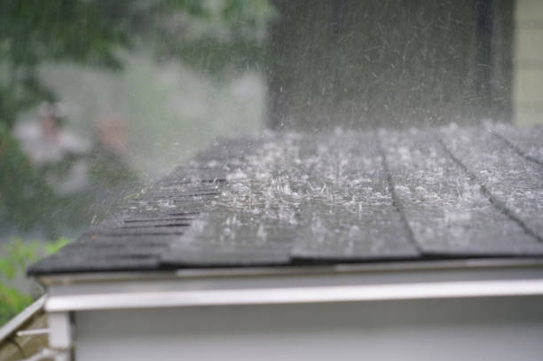 Best Roof Leak Repair  in Tracy, MN